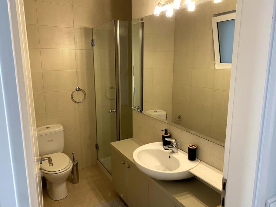Spacious And Sunkissed 3Br & 2 Bathrooms Apartment 雅典 外观 照片