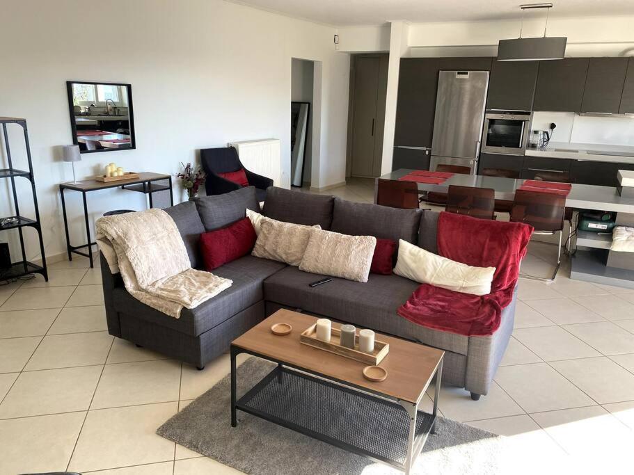 Spacious And Sunkissed 3Br & 2 Bathrooms Apartment 雅典 外观 照片