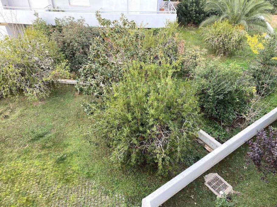 Spacious And Sunkissed 3Br & 2 Bathrooms Apartment 雅典 外观 照片